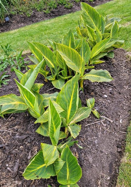  - 2024 Sussex Prairies