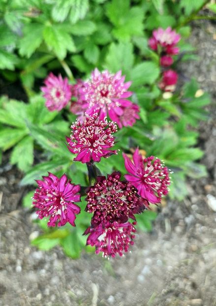  - 2024 Sussex Prairies