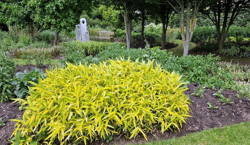  - 2024 Sussex Prairies