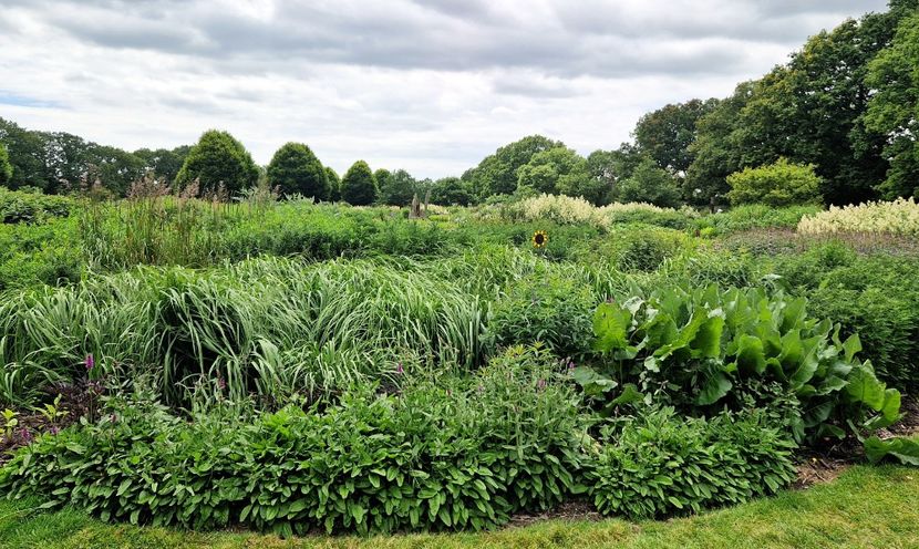  - 2024 Sussex Prairies