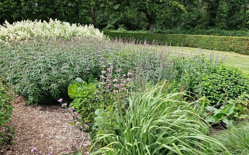  - 2024 Sussex Prairies