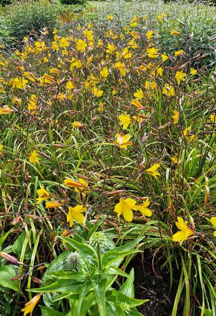  - 2024 Sussex Prairies