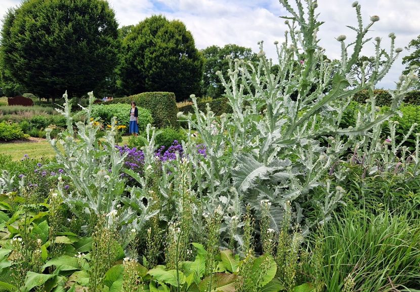  - 2024 Sussex Prairies
