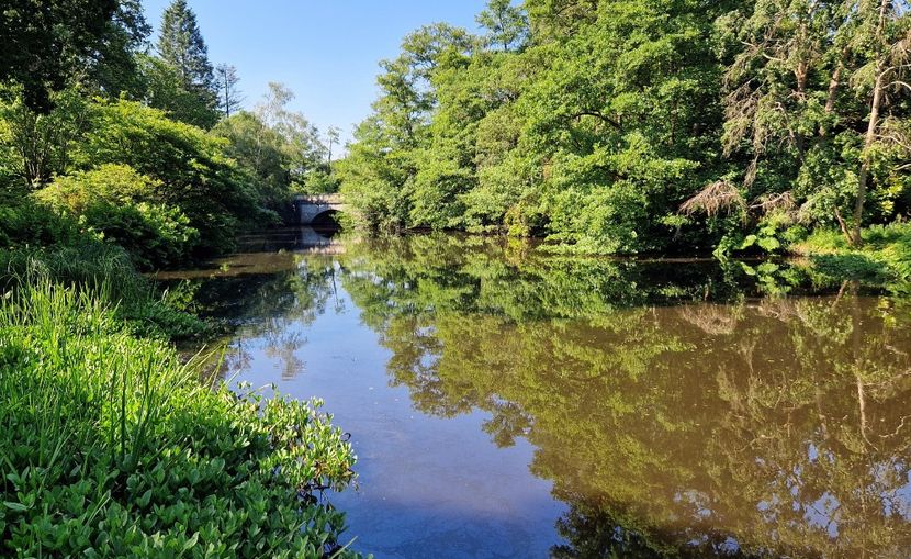  - 2024 The Savill Garden