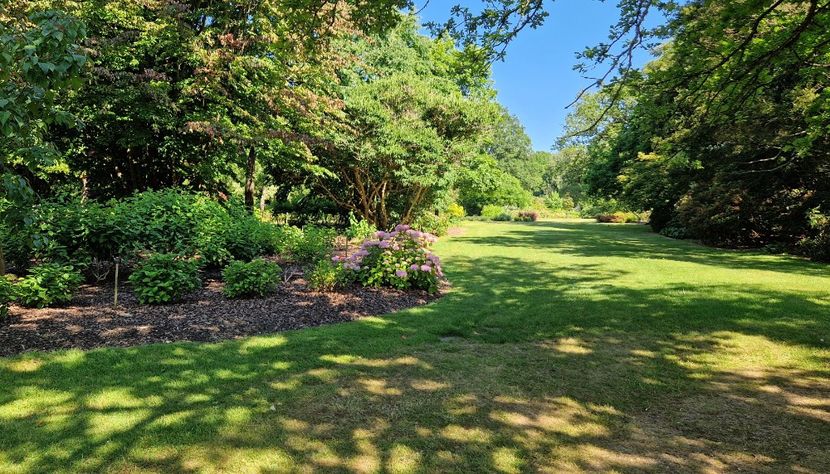  - 2024 The Savill Garden