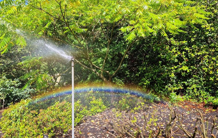  - 2024 The Savill Garden