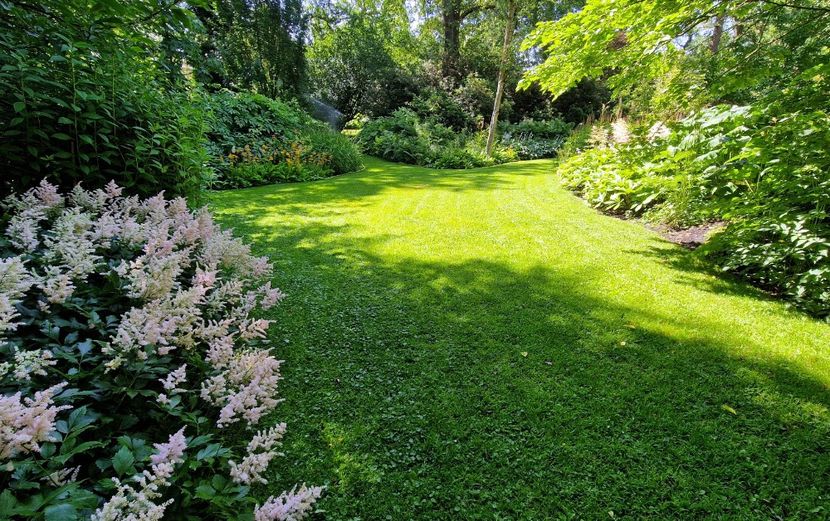  - 2024 The Savill Garden