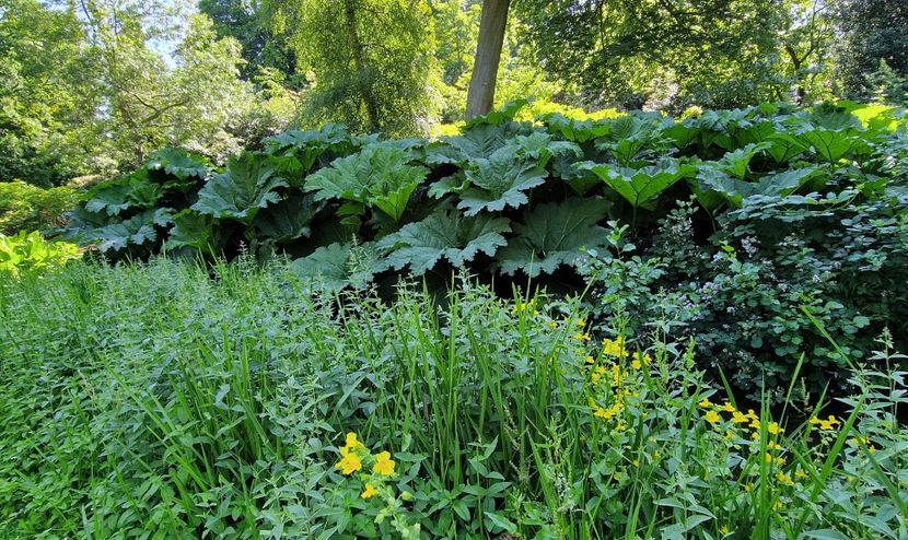  - 2024 The Savill Garden