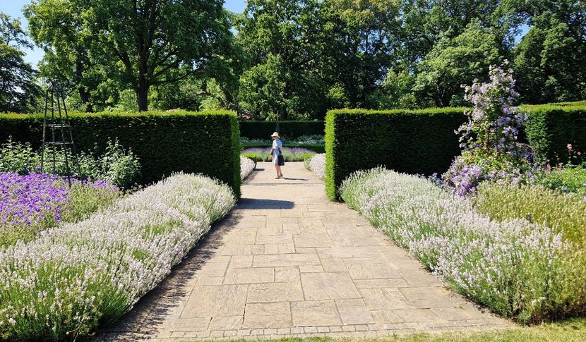  - 2024 The Savill Garden