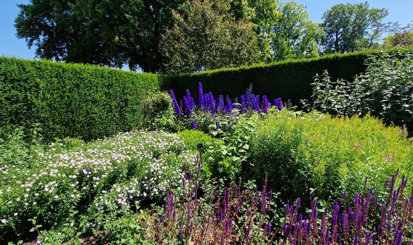  - 2024 The Savill Garden