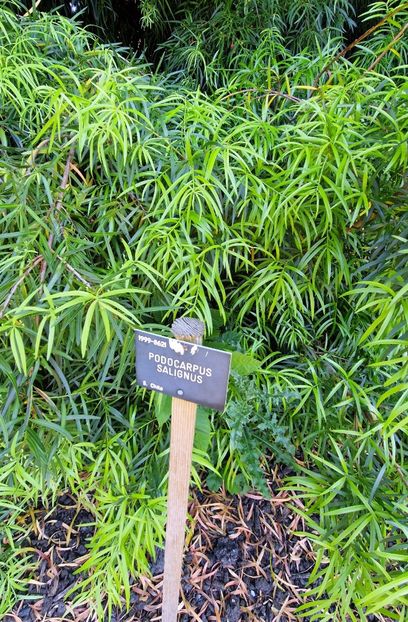  - 2024 The Savill Garden