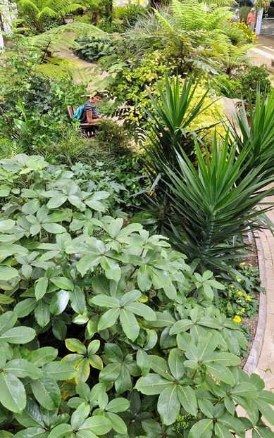  - 2024 The Savill Garden