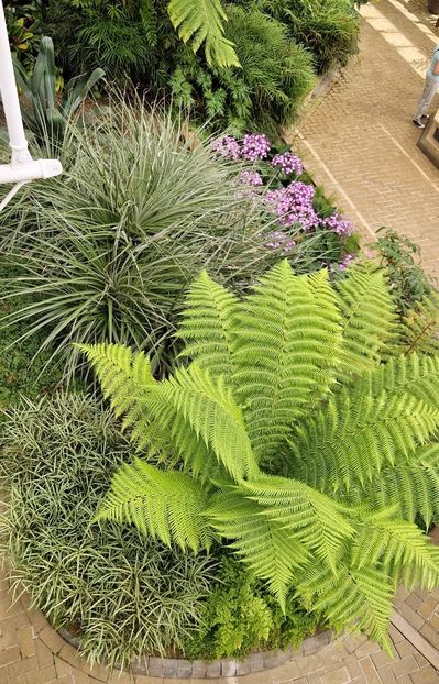  - 2024 The Savill Garden