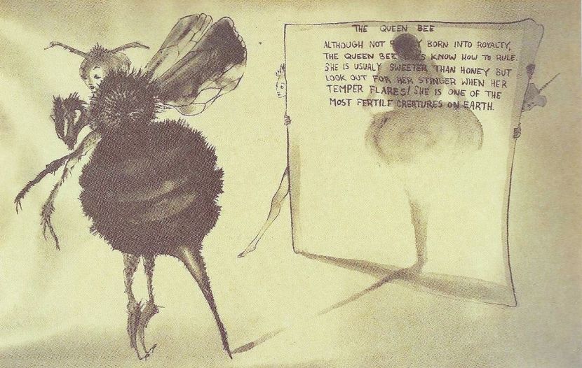 ⊱ - Collection of Tintypes