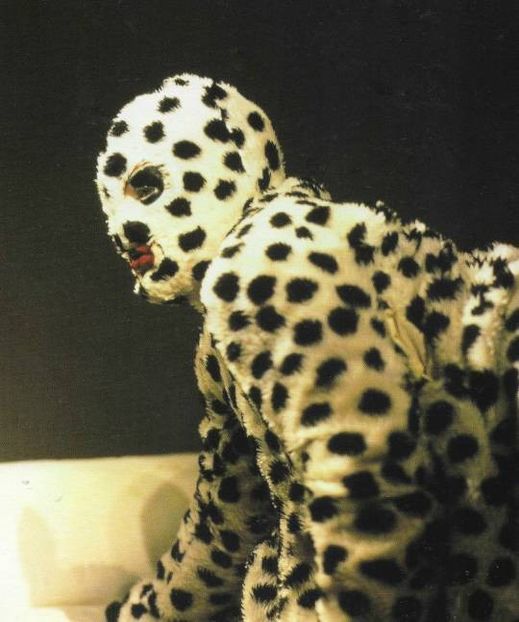 Poe the Big Harmless Cat. - Collection of Tintypes