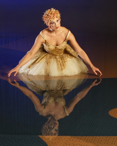 Madame Cosmo. - Collection of Tintypes