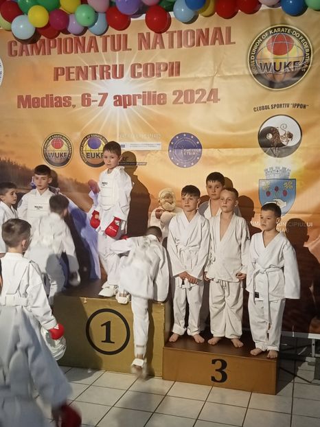 IMG20240406175147 - Darius karate