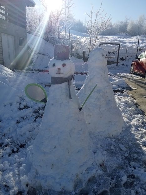 IMG20240121101200 - Darius diverse