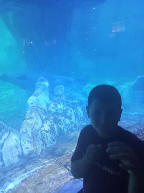 IMG20230831131005 - Spania 2023