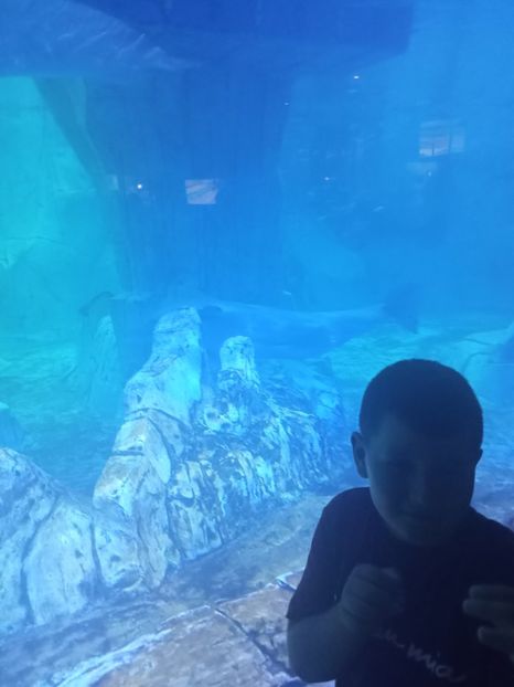 IMG20230831131004 - Spania 2023