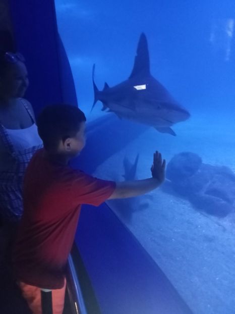 IMG20230831123607 - Spania 2023