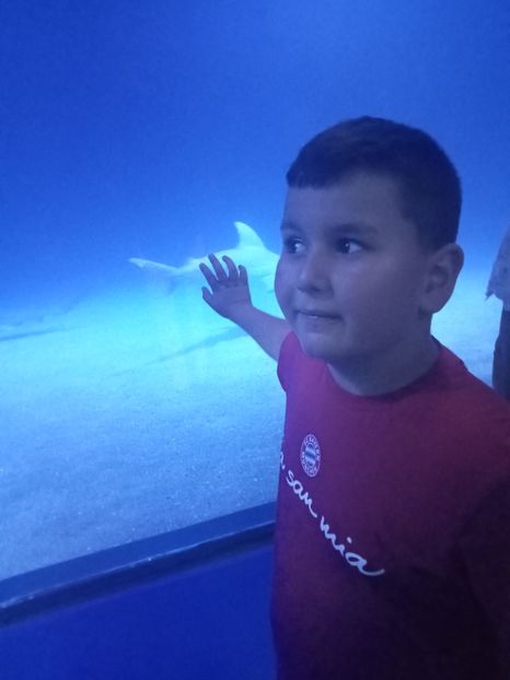 IMG20230831123030 - Spania 2023