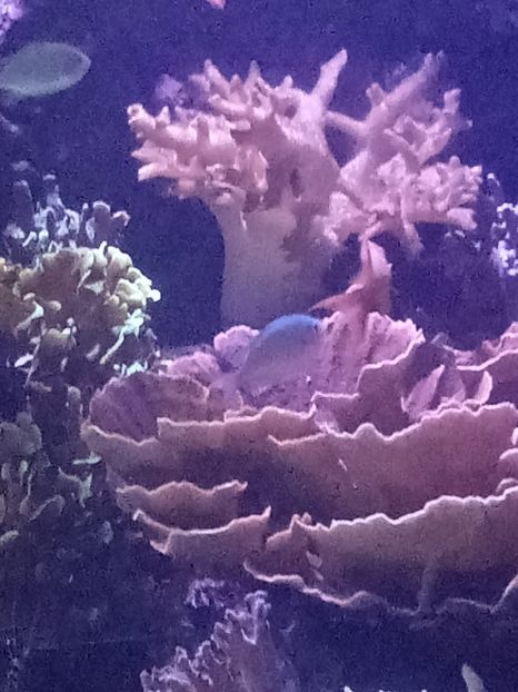 IMG20230831110439 - Spania 2023