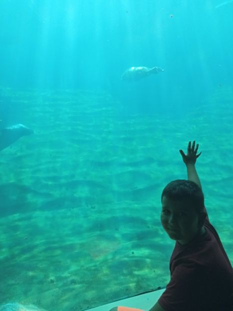 IMG20230831105407 - Spania 2023