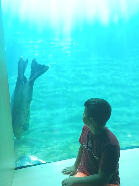 IMG20230831105335 - Spania 2023