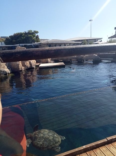 IMG20230831104557 - Spania 2023