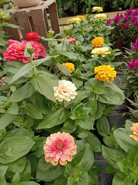 Img.2024.07.02 - Magazinul 3