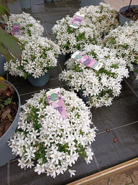 Img.2024.07.02 - Magazinul 3