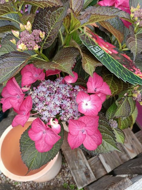 Img.2024.07.02 - Magazinul 3