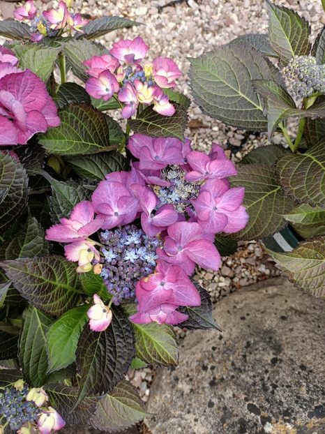 Img.2024.07.02 - Magazinul 3