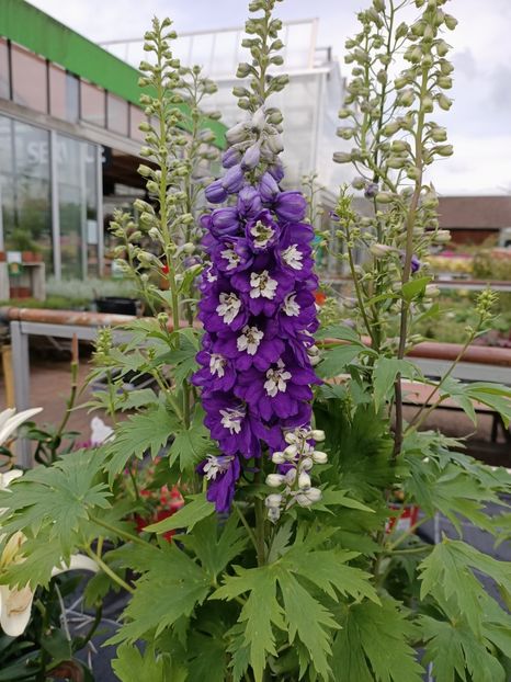 Img.2024.07.02 - Magazinul 3