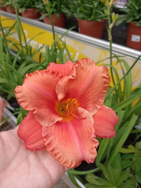 Img.2024.07.02 - Magazinul 3