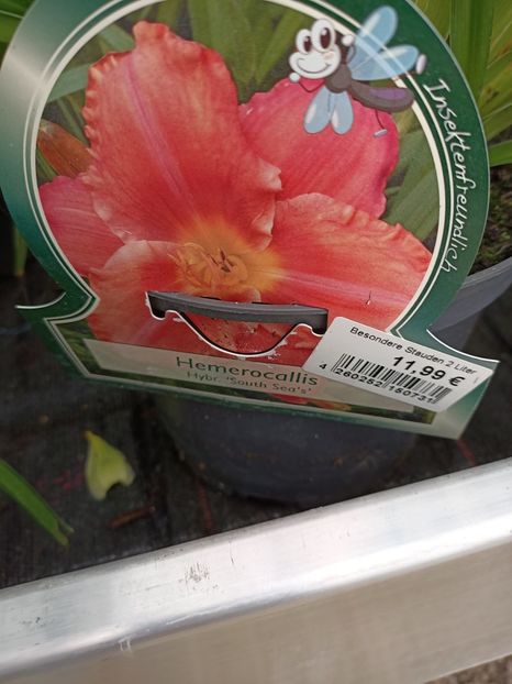 IMG20240702094504 - Magazinul 3