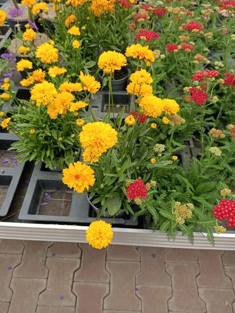 Img.2024.07.02 - Magazinul 3