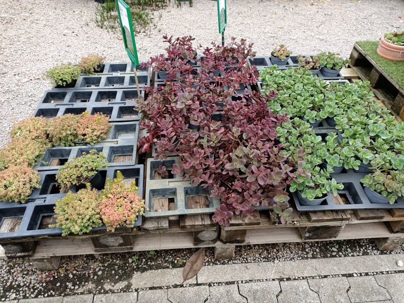 Img.2024.07.02 - Magazinul 3