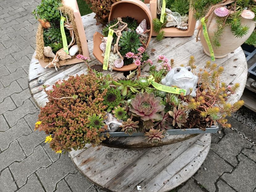 Img.2024.07.02 - Magazinul 3