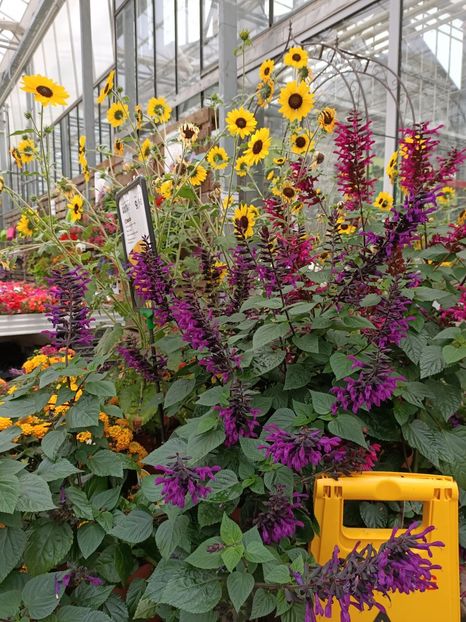 Img.2024.07.02 - Magazinul 3