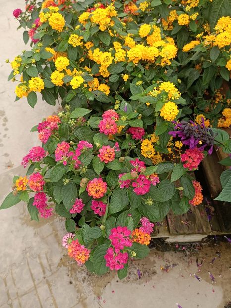 Img.2024.07.02 - Magazinul 3