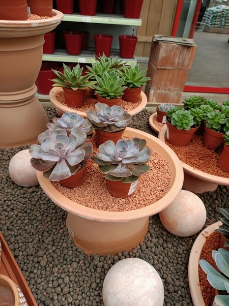 Img.2024.03.03 - Magazinul 3