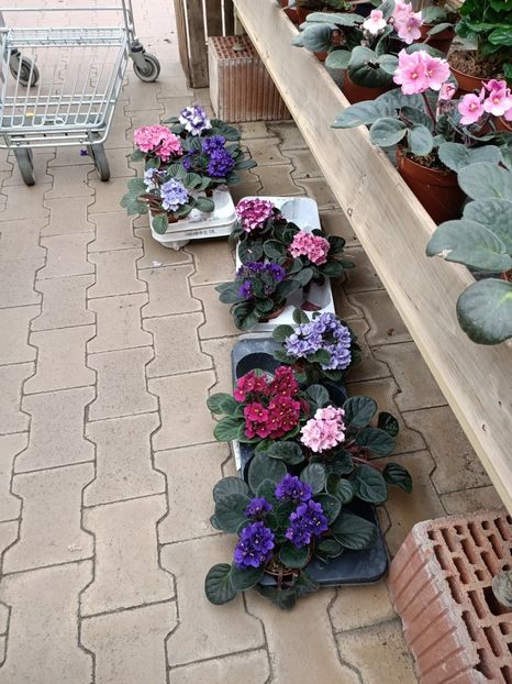 Img.2024.07.02 - Magazinul 3