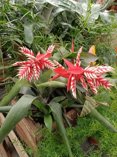 Img.2024.07.02 - Magazinul 3