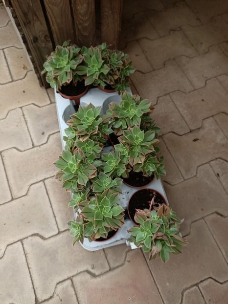 Img.2024.07.02 - Magazinul 4