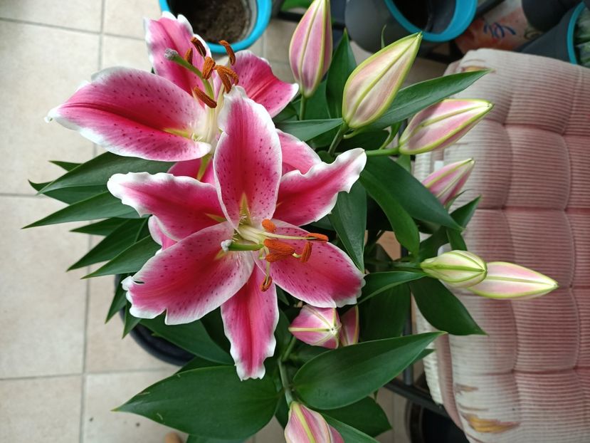 Img.2024.07.02 - Magazinul 4