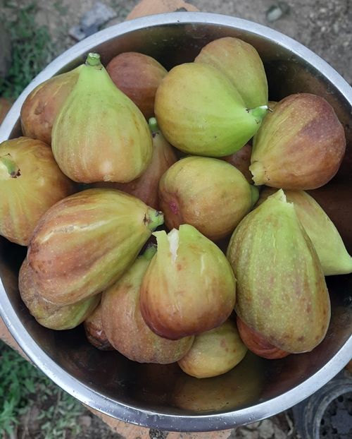 03.07.2024 - Smochin romanesc