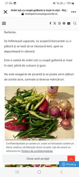 Screenshot_20240703_210600_Facebook - Ardei iuti cu ceapa galbena si rosie in otet