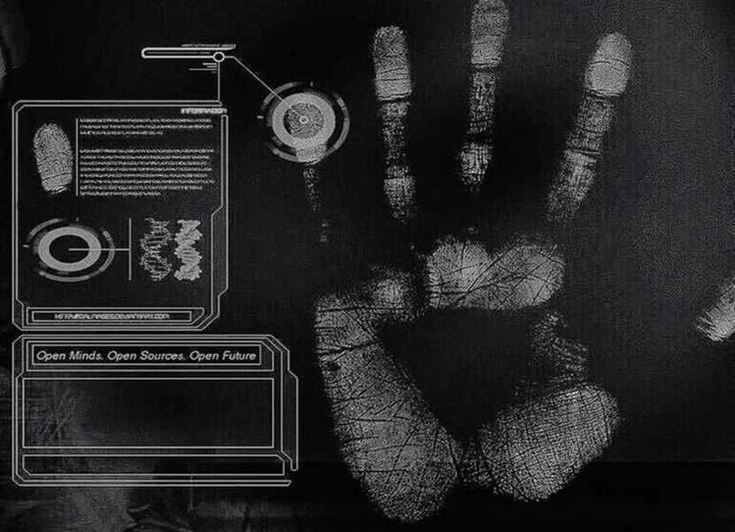  - Lord of the Butterflies